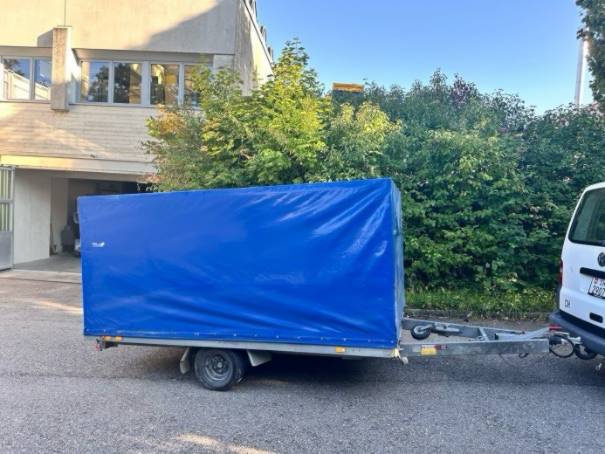 Anhnger Bratschi/Unsinn